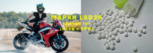 ПСИЛОЦИБИНОВЫЕ ГРИБЫ Абаза