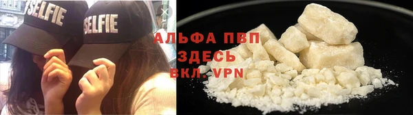 spice Алзамай