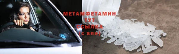 ПСИЛОЦИБИНОВЫЕ ГРИБЫ Абаза