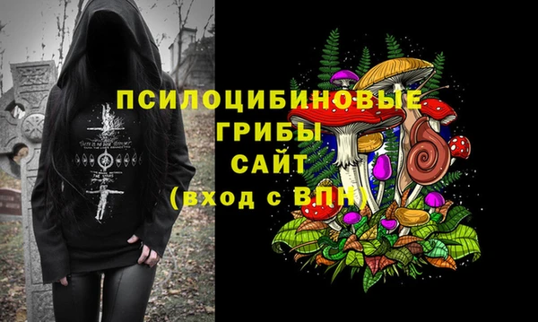 ПСИЛОЦИБИНОВЫЕ ГРИБЫ Алексин