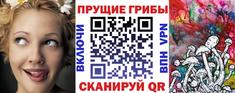 Галлюциногенные грибы Magic Shrooms  Чкаловск 